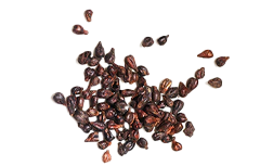 Izvleček grozdnih pešk