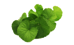 Centevita®