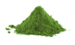 Spirulina