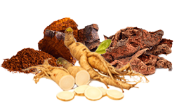 Organska adaptogena bilja