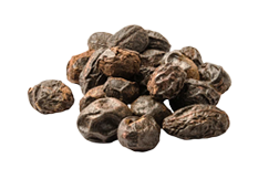 Plod ekološke palmete