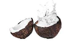 Kokosova voda u prahu (Cocomineral®)