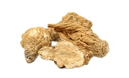 Maca korenina