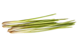 Prirodna aroma limunske trave